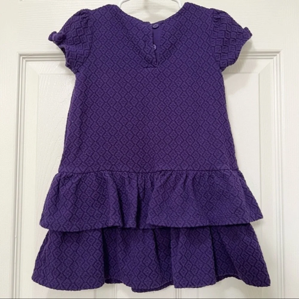 𝅺GYMBOREE|GIRLS plum short sleeve party dress-size 2T